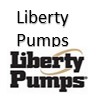 Quick Shop Liberty Pumps PumpsSelection.com